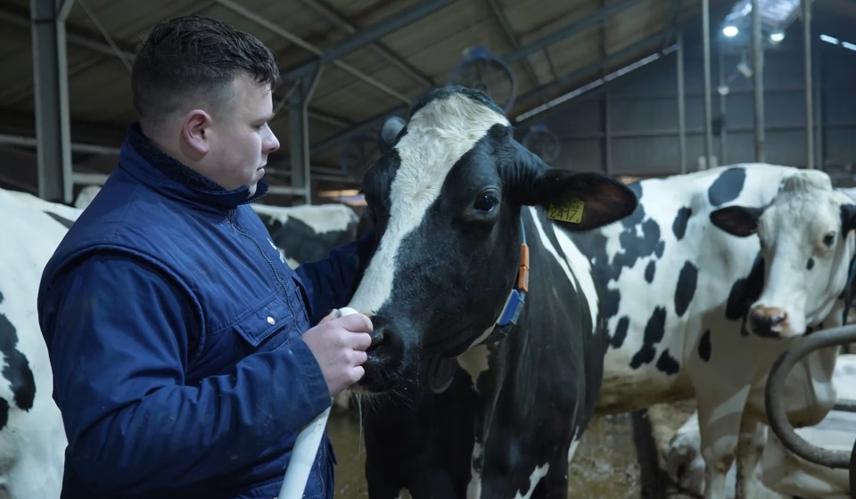 Nykle & Koe Ab Vakwerk