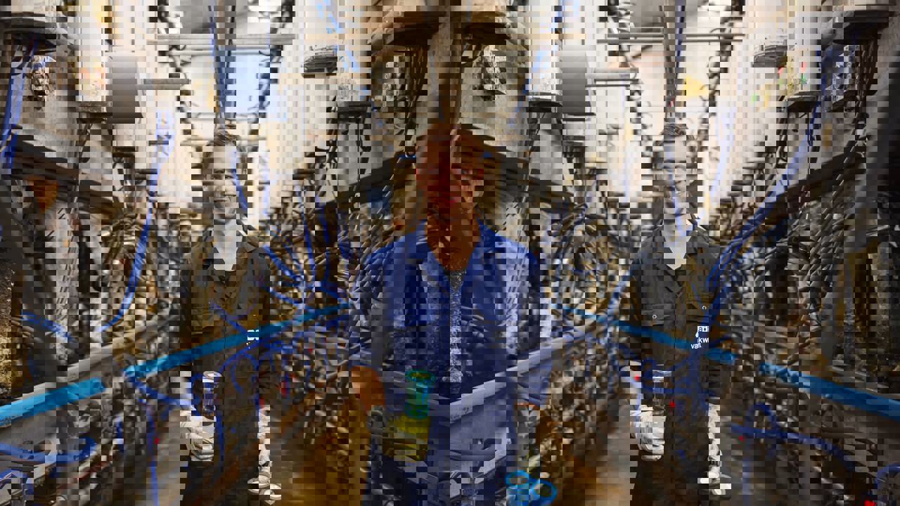 Abvakwerk Jacobdotinga (1)