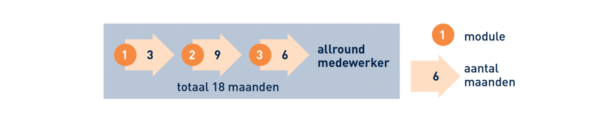 Overzicht Schema Module