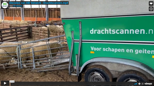 Thumbnaildrachtscannen
