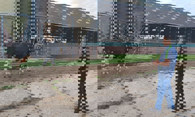 2025 05 04 Bert Ferdinands Roms Score