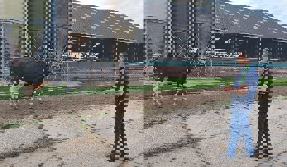 2025 05 04 Bert Ferdinands Roms Score
